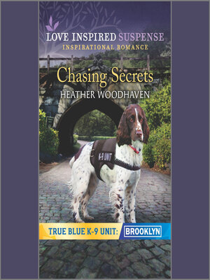 cover image of Chasing Secrets